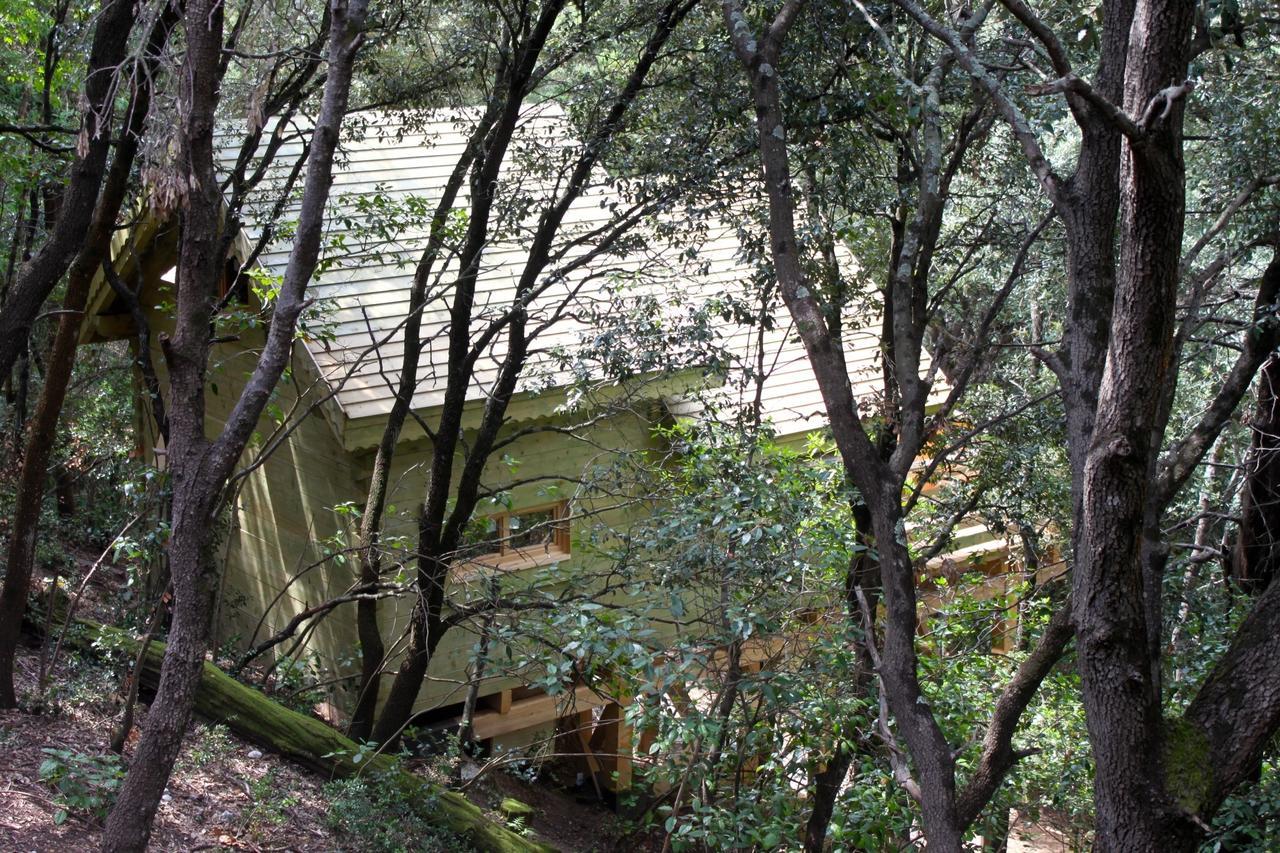 Les Cabanes Dans Les Bois Logis Hotel Villedubert Eksteriør bilde