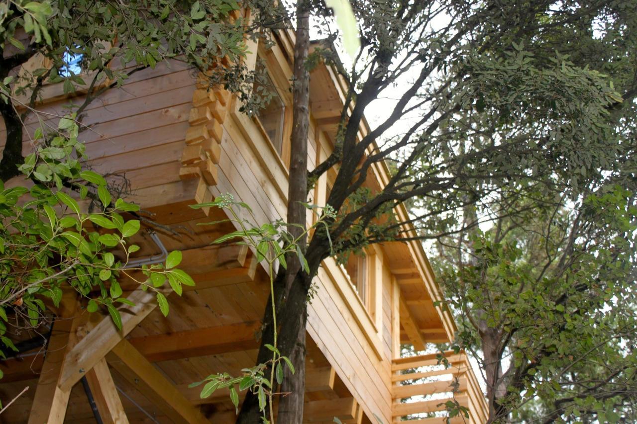 Les Cabanes Dans Les Bois Logis Hotel Villedubert Eksteriør bilde