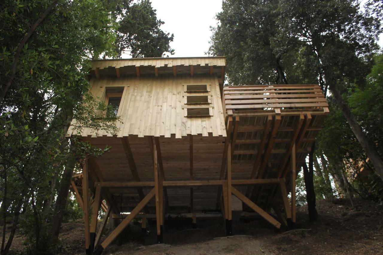 Les Cabanes Dans Les Bois Logis Hotel Villedubert Rom bilde