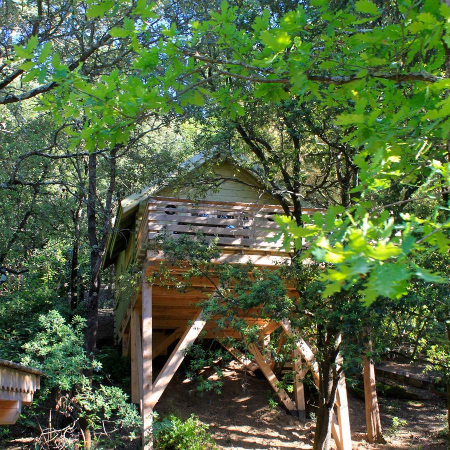 Les Cabanes Dans Les Bois Logis Hotel Villedubert Rom bilde