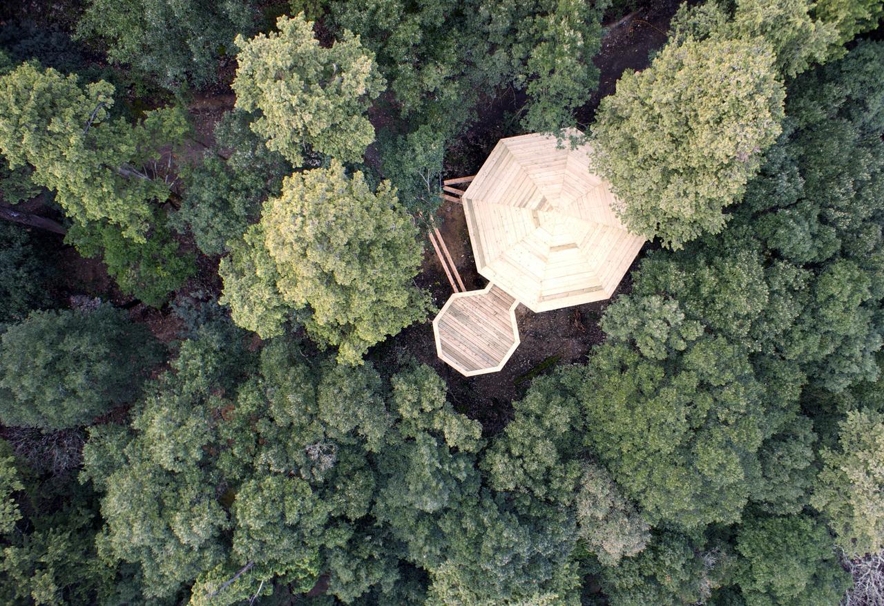 Les Cabanes Dans Les Bois Logis Hotel Villedubert Eksteriør bilde