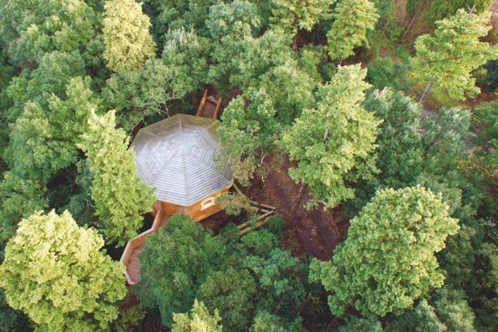 Les Cabanes Dans Les Bois Logis Hotel Villedubert Eksteriør bilde