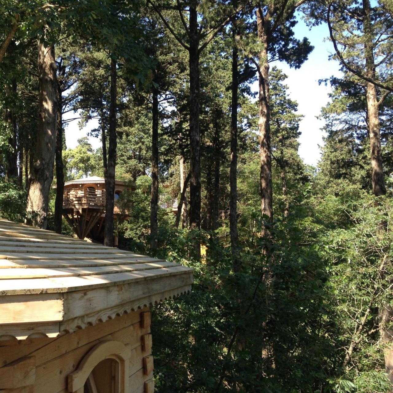 Les Cabanes Dans Les Bois Logis Hotel Villedubert Eksteriør bilde